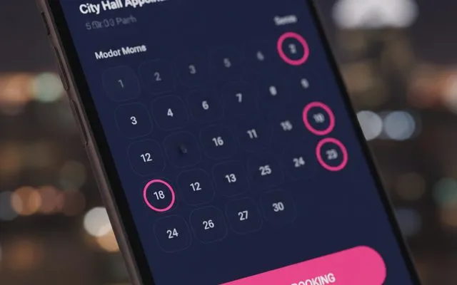 City hall appointment booking screen in the municipal AI platform